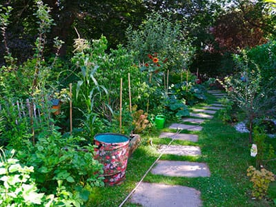 les-marguerites-permaculture-design Illustration site Les Marguerites - Permaculture & Design - ZestCitron